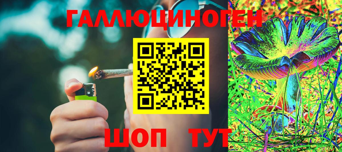 Псилоцибиновые грибы мухоморы Череповец