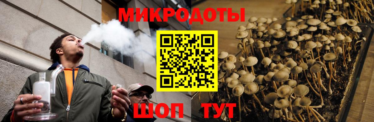 Череповец  Псилоцибиновые грибы ЛСД  Вход с VPN 